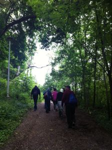 Building Roads - Regent Park CHC - Riverdale